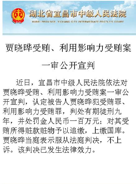 贾晓晔因受贿、利用影响力受贿一审获刑9年，当庭表示不上诉