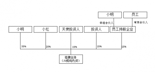  VIE架构公司如何股权激励员工，看这一篇就够了