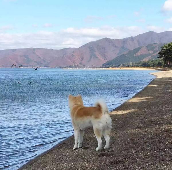 不懂“赚钱逻辑”，你永远都是社会最底层！