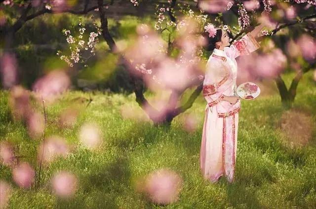 我们相遇,宛若桃花盛开(情人节,一眼就醉!)