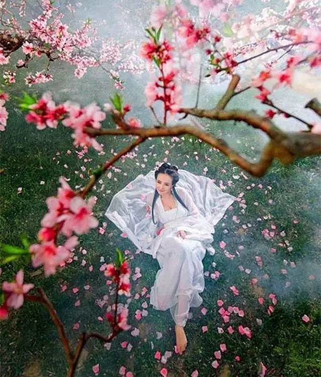 我们相遇,宛若桃花盛开(情人节,一眼就醉!)