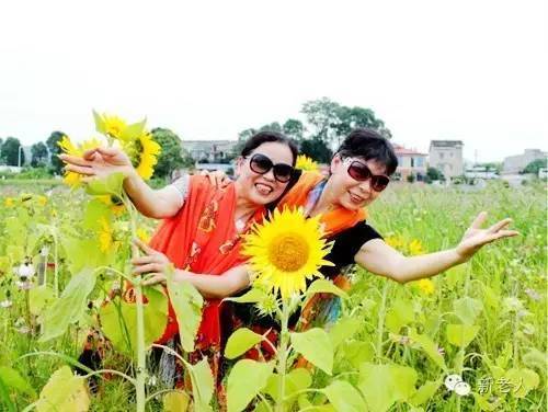 重大发现:决定人寿命长短的不是吃和运动,而是…太震惊了!