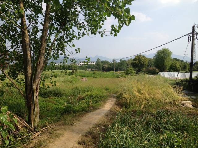 46幢回迁房建设前的原农田