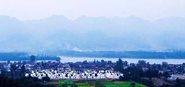 东梓关村景象