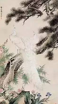 马晋《孔雀松树》