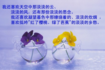 风雨人生，淡然相随 