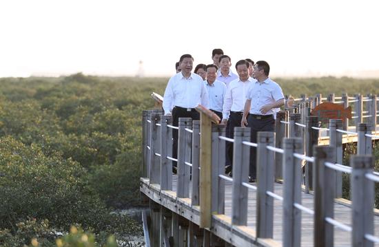 习近平：打造好向海经济 要想富先建港口