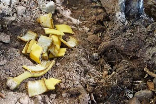 她把香蕉涂在脸上，竟然变成这样…神奇！