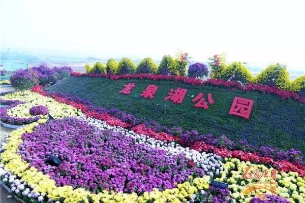 不必羡慕雄安新区，国家正式批复！石家庄又被委以重任！要全面爆发啦！