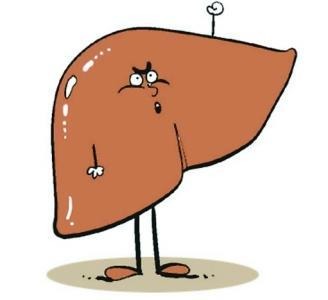 肝病发现就是癌，这症状提示肝脏藏毒太深，吃点它20年毒素去光