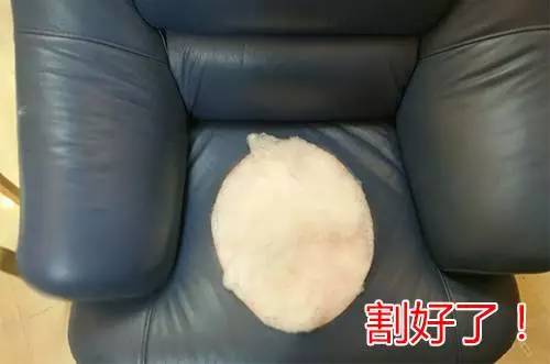 闲鱼遇到“变态”买家 知道真相后跳楼的心都有了