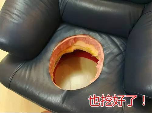 闲鱼遇到“变态”买家 知道真相后跳楼的心都有了