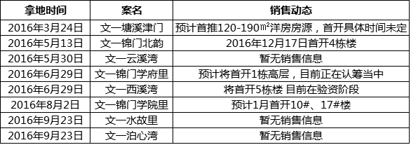 安徽最大房企面临资金危机申请破产 楼盘亏本大甩卖