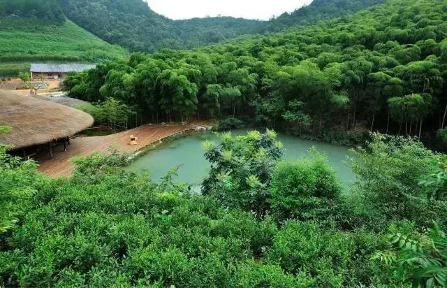 重磅！国土住建部联合放大招！共享度假小院建设获快速审批通道