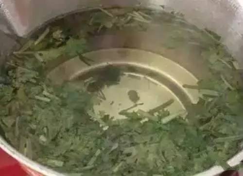 6个信号是肾脏在求救！此菜用清水煮一煮，排出肾脏十年毒