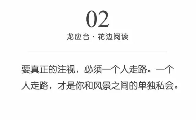 龙应台：你得学会拒绝