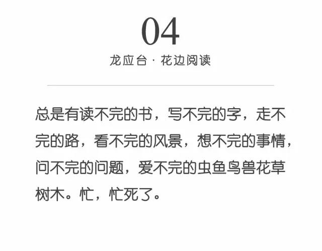 龙应台：你得学会拒绝