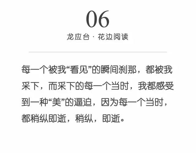 龙应台：你得学会拒绝