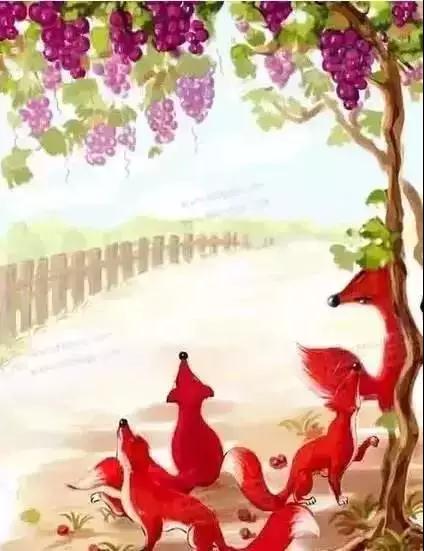 狐狸的观念（令人深思）
