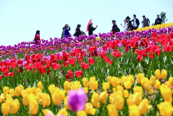 乡村振兴战略将制定规划 京津冀协同发展步入快车道