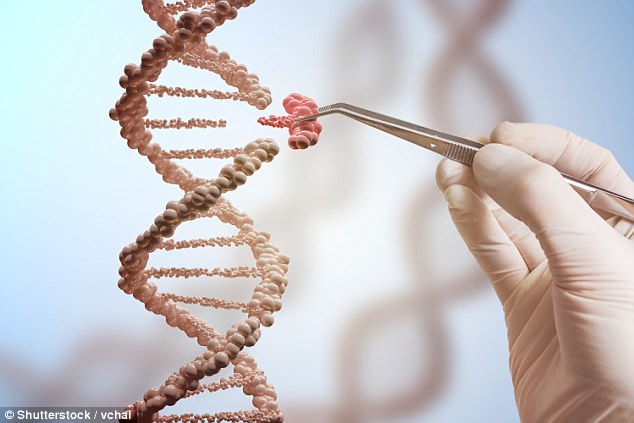 麻省哈佛开发基因编辑技术 有望治愈逾1.5万种遗传病