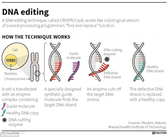 麻省哈佛开发基因编辑技术 有望治愈逾1.5万种遗传病