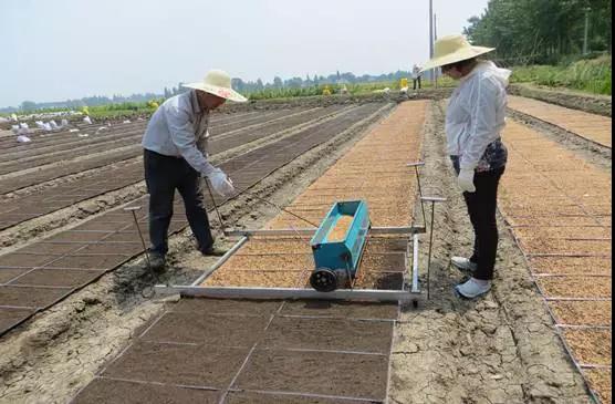 国务院发出重磅信号，中国即将实行三权分置！农村遍地是金