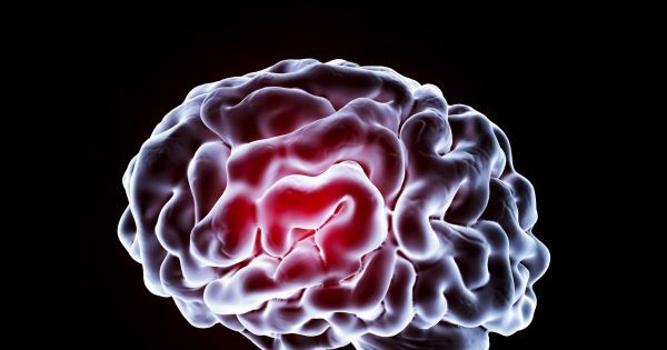 记忆力衰退？科学家通过脑植入物来提高记忆力