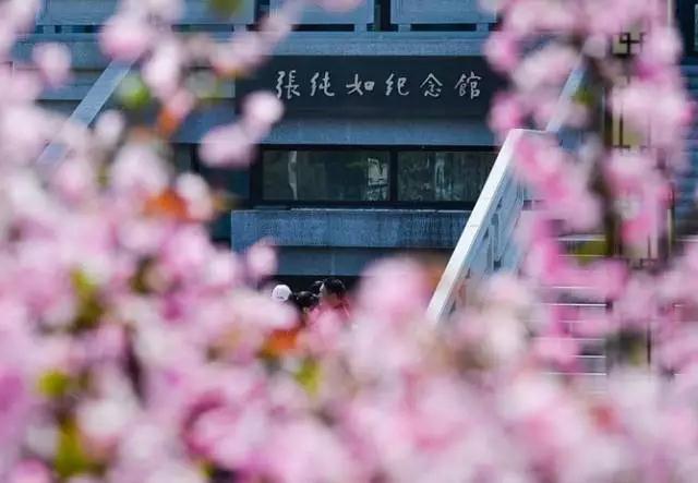 这个太了不起的华裔女子,她的生影响了全世界,她的死更是震惊了全球,今天不能不说的她!