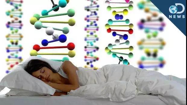 牛津大学教授：别再早睡早起了，这是错误的！
