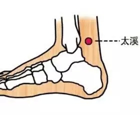 中医脚底养生 按摩＋贴敷 轻轻松松保健康 治已病 防未病 学起来