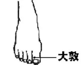 中医脚底养生 按摩＋贴敷 轻轻松松保健康 治已病 防未病 学起来