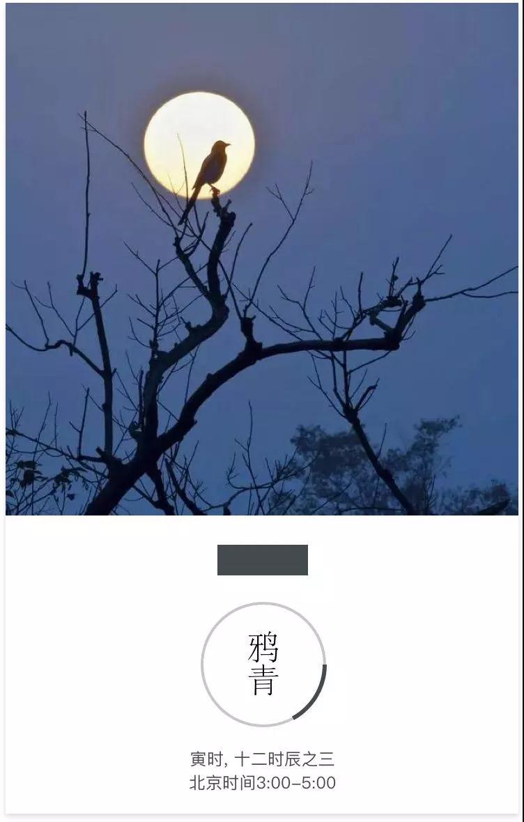 在十二時辰裏，寫一筆中國絕色
