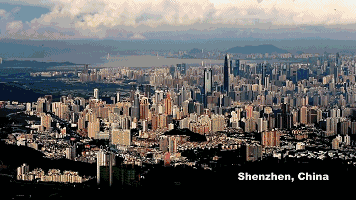 为什么美国黑手党每年要在深圳买一万多幅画？