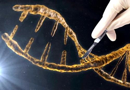 CRISPR抗癌人体试验：美打响中美生物医学一场新竞赛