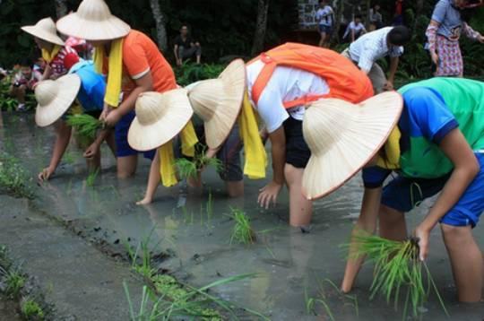 台湾5个经典的休闲农场告诉你，为什么内地做休闲农业的人士都喜欢去台湾考察！