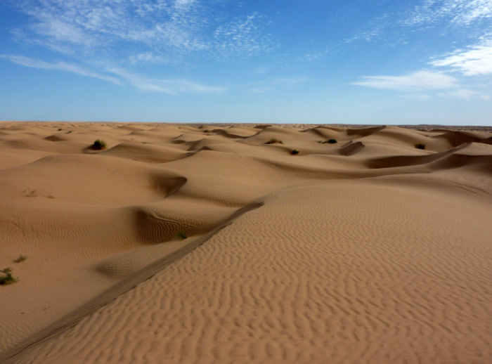 研究：撒哈拉沙漠面积因气候变化而扩大10%