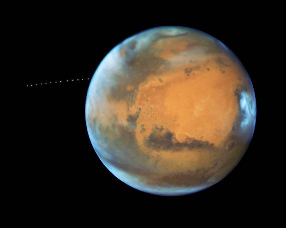 火星上的外星生命可能看起来像地球上的某种微生物