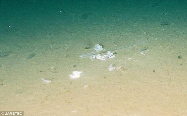 世界最深的垃圾场：马里亚纳海沟发现的塑料袋