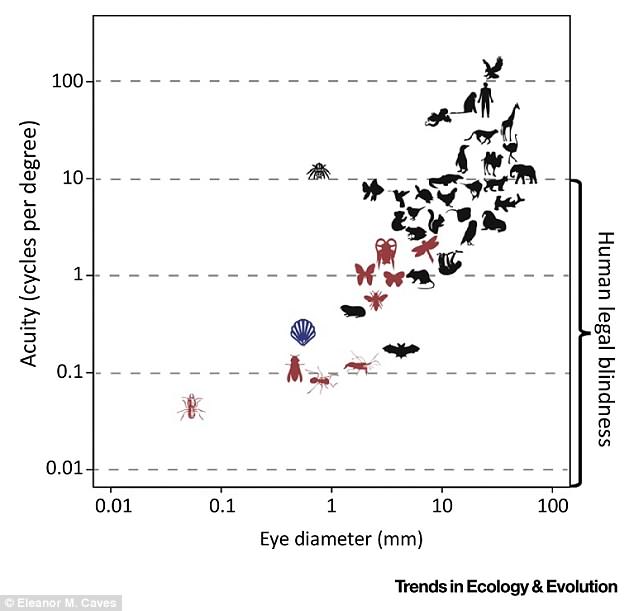 科学揭示生物视敏度差异 人和动物有很大差别