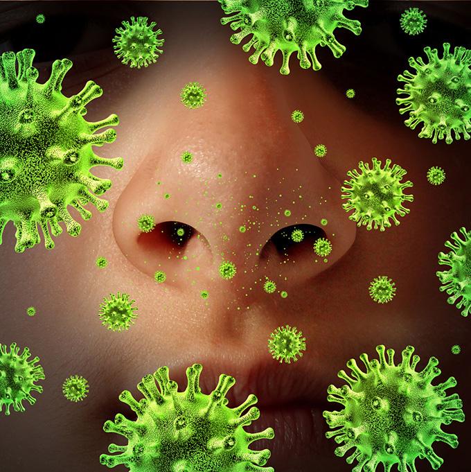 香港大学发现有效对抗流感病毒的新方法