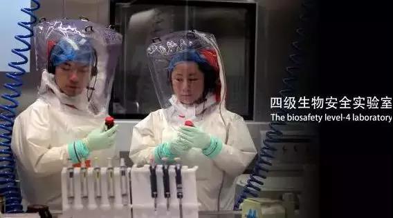 美国对俄生物战引普京怒吼，印度爆发诡异疫情，莫迪凌晨直抵中国求援！