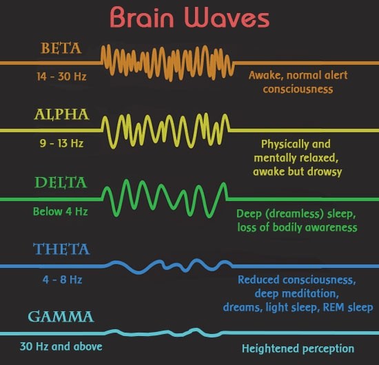 脑电波之谜困惑科学家百年 最新研究称其很重要