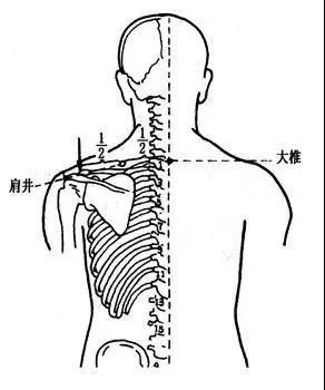 穴位就是中药，经络就是药房！太有用了!收藏吧!