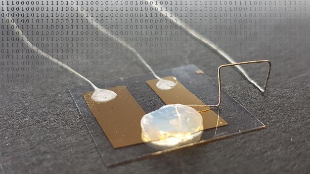 德国开发出世界最小单原子晶体管