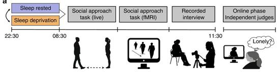 睡眠不足会降低社交意愿 让人感觉更孤独且还会传染