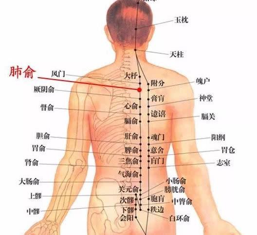 秋季艾灸到位，不愁不美！这些穴位，还真得好好灸！