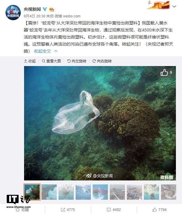 人类影响已达深海，“蛟龙号”大洋深处采集海洋生物样品含微塑料
