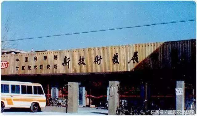 1978，已是四十年前！