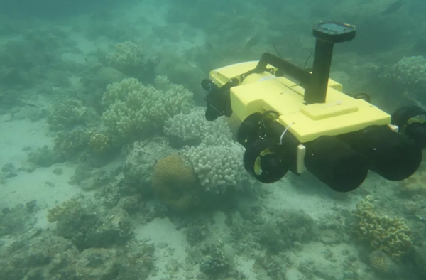 为拯救澳大利亚大堡礁：科学家采取“电流治疗”